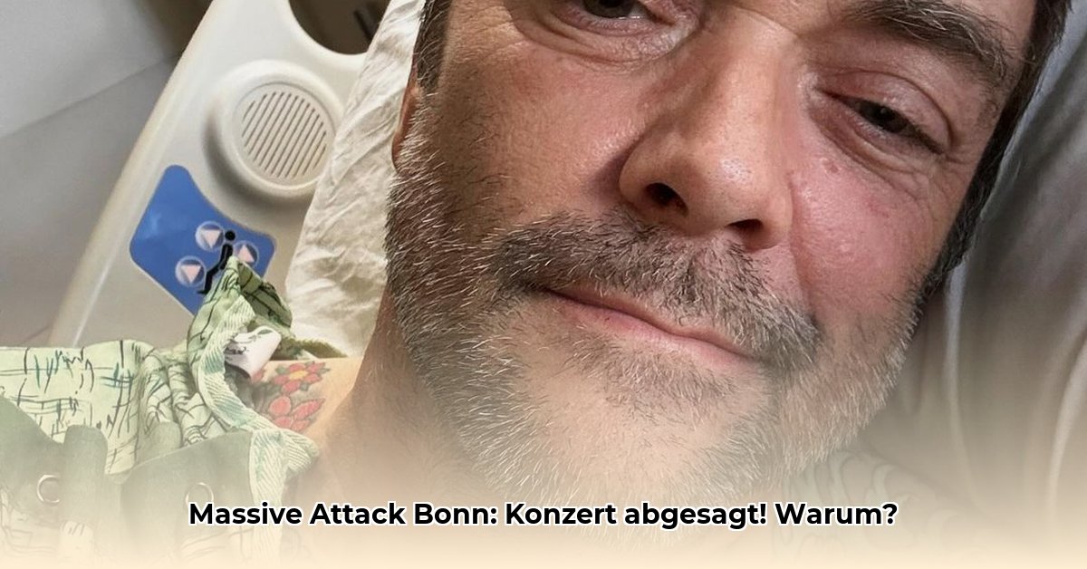 massive-attack-konzert-bonn